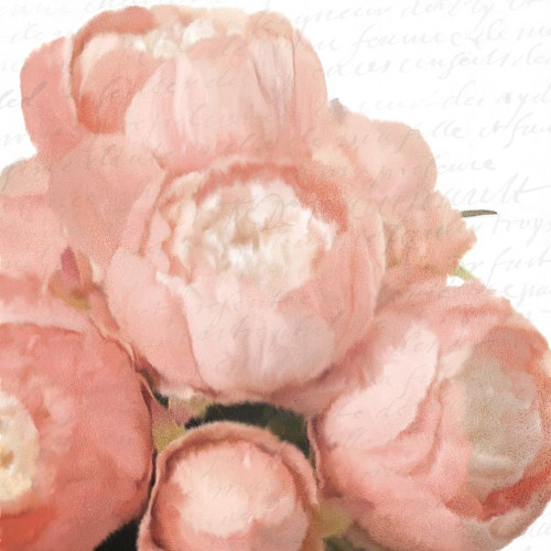 Soft Pink Peony Bunch Poster Print by Allen Kimberly # KASQ1595B