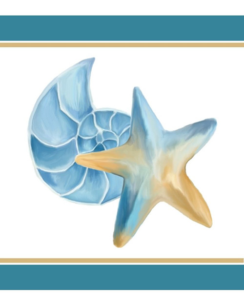 Seashore Shells 2 Poster Print by Allen Kimberly # KARC1904C