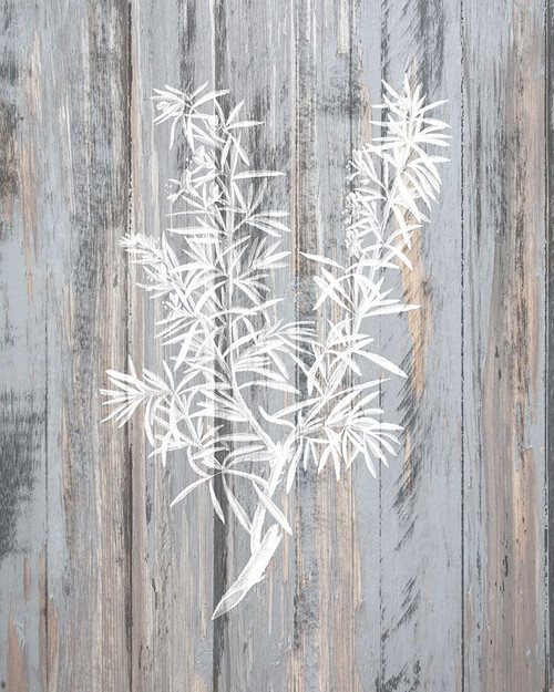 Botanical Wood 4 Poster Print by Allen Kimberly # KARC1866D