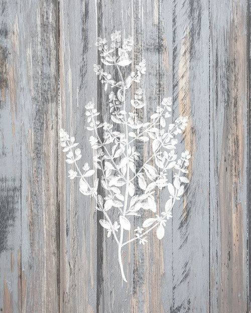 Botanical Wood 2 Poster Print by Allen Kimberly # KARC1866B