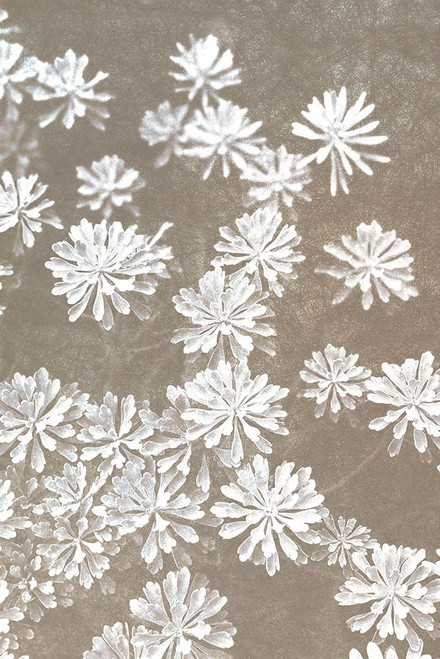 Falling Blooms Poster Print by Allen Kimberly # KARC1867A