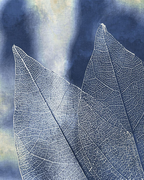 Transparent Leaves 2 Poster Print by Allen Kimberly # KARC1833B