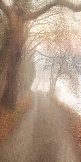 Into the Mist Poster Print by Kimberly Allen # KARN354