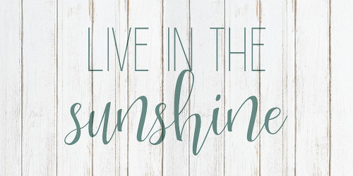 Live in the Sun 2 Poster Print by Allen Kimberly # KARN232B Live in the Sun 2 Poster Print by Allen Kimberly # KARN232B