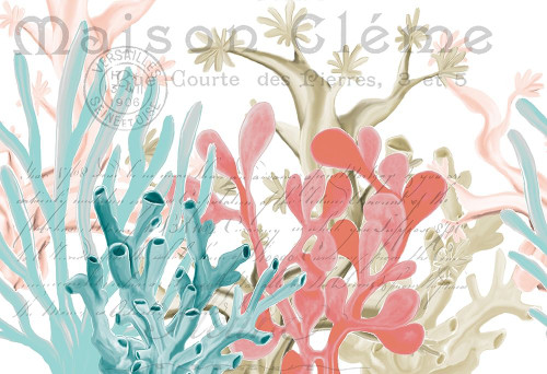 Coral Coastal 1 Poster Print by Allen Kimberly # KARC1696B