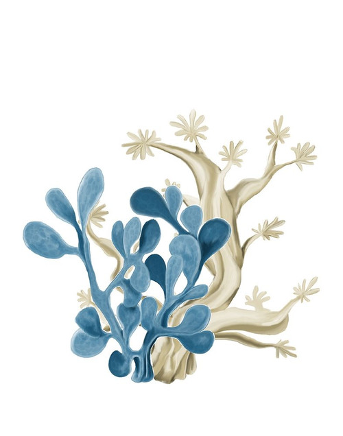 Coastal Coral 3 Poster Print by Allen Kimberly # KARC1746B