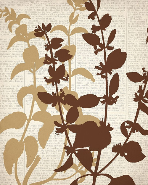 Newspaper 2 Poster Print by Kimberly Allen # KARC2131B