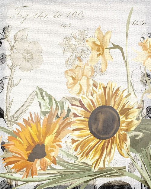 Wildflower Guide 2 Poster Print by Kimberly Allen # KARC2115B