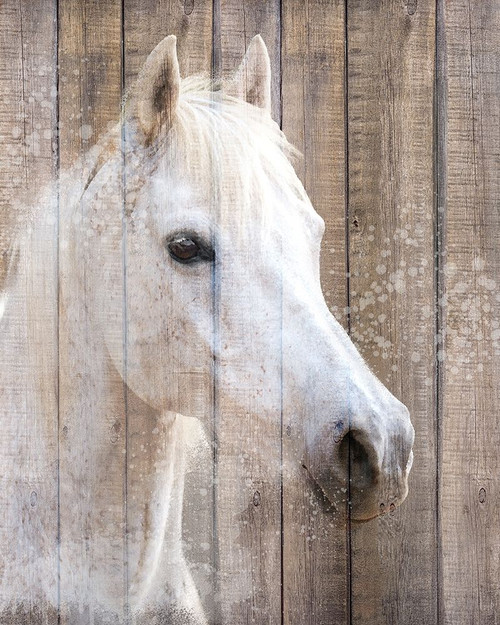 Painted White Poster Print by Kimberly Allen # KARC2122A