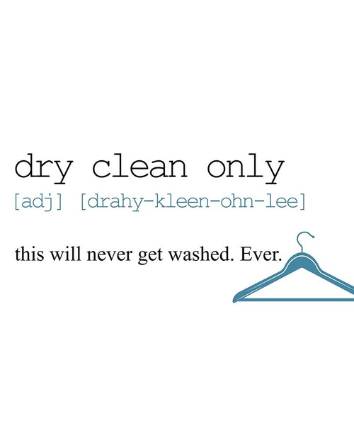 Washing 2 Poster Print by Kimberly Allen # KARC2088B