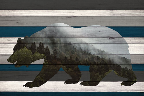 Bear Mountain Range Poster Print by Kimberly Allen # KARC2055A