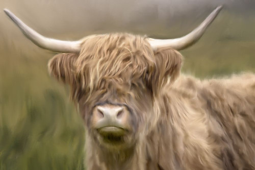 Highland Poster Print by Kimberly Allen # KARC2056