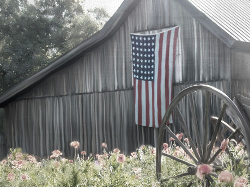 USA Barn Poster Print by Kimberly Allen # KARC2036