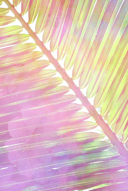 Tropical Palms 2 Poster Print by Kimberly Allen # KARC2017B