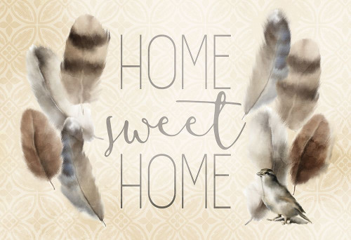 Home Sweet Home Feathers Poster Print by Allen Kimberly # KARC1669F