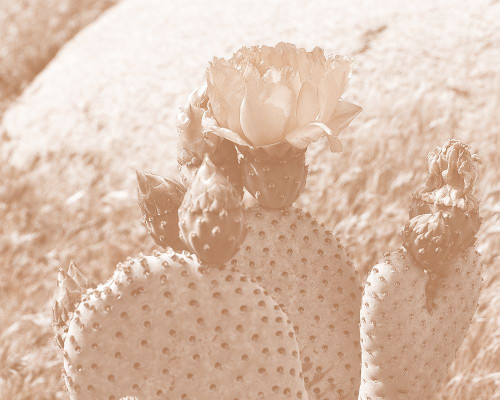 Follow Your Soul 1B Poster Print by Allen Kimberly # KARC1677A2