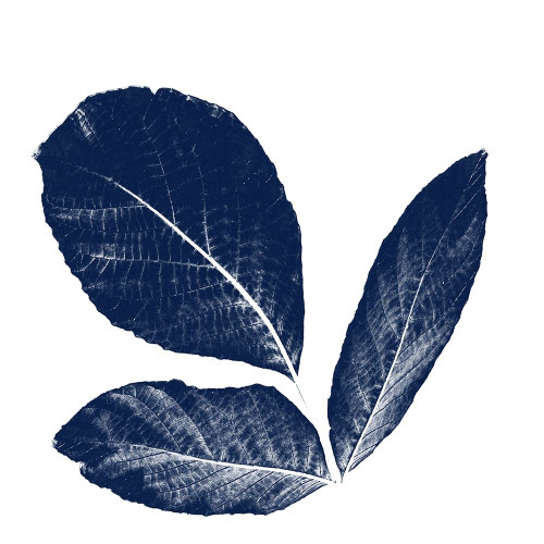 Play On Blue  Poster Print by Jamie Phillip # JS98B