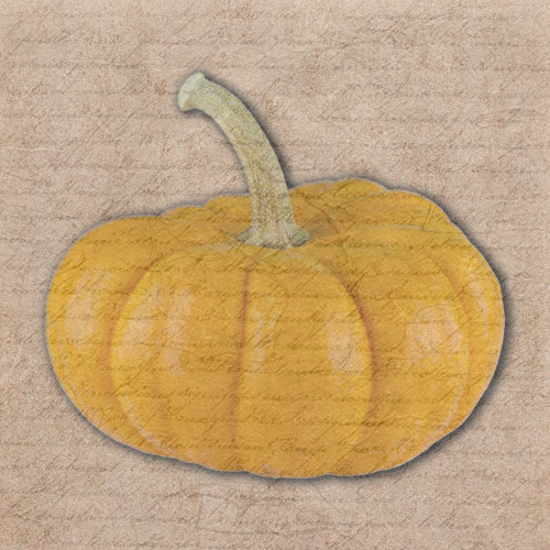 Pumpkin Poster Print by Jamie Phillip # JS207A