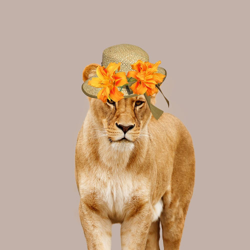 Jungle Queen Poster Print by Jamie Phillip # JS79A