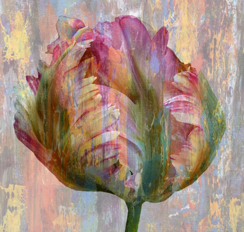 Tulip Abstract Poster Print by Jamie Phillip # JS172