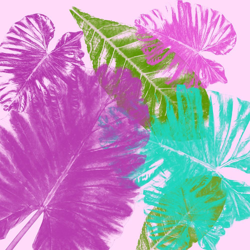 Tropical Taste 2 Poster Print by Jamie Phillip # JS127B