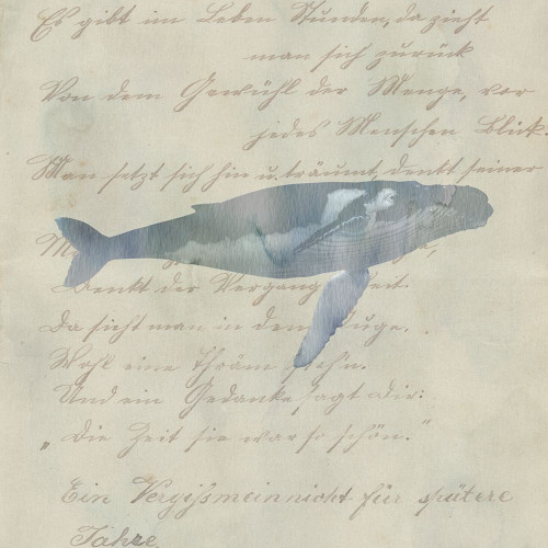 Whale Done Poster Print by Jamie Phillip # JS139