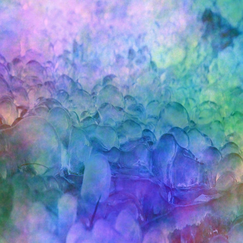 Crystal Poster Print by Jamie Phillip # JS129