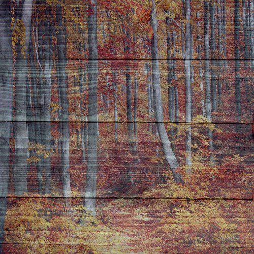 Landscape Poster Print by Jamie Phillip # JS163