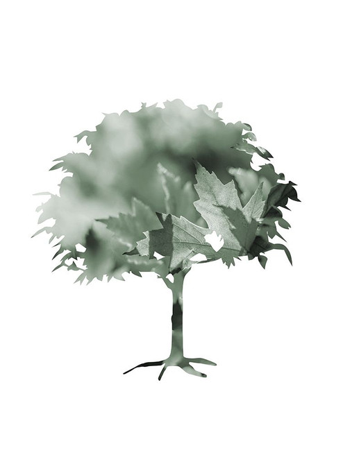 Aqua Tree 3 Poster Print by Jamie Phillip # JRV70C