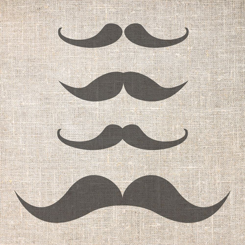 Brostache 2 Poster Print by Jamie Phillip # JS70B