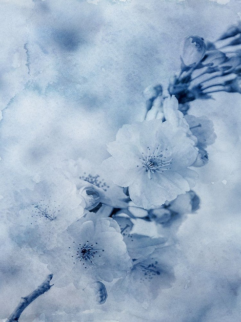 Blue Watercolor Flower Poster Print by Jamie Phillip # JRV238A