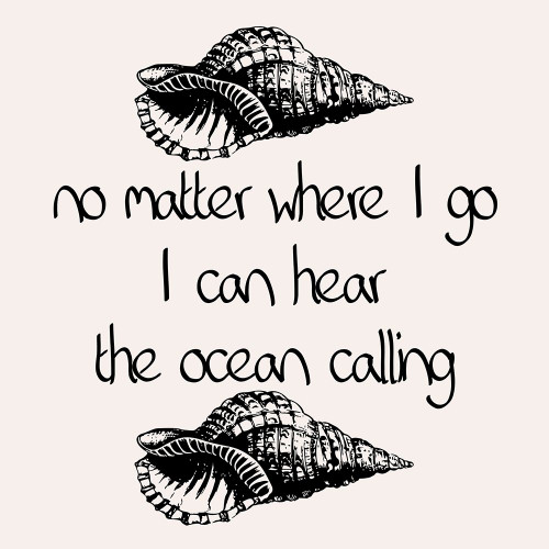 Black Ink Coastal  Poster Print by Jamie Phillip # JS60