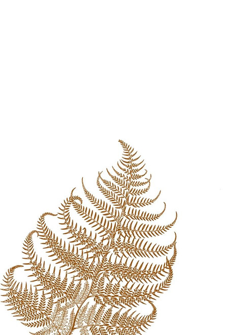 Gold Fern 3 Poster Print by Jamie Phillip # JRV217C