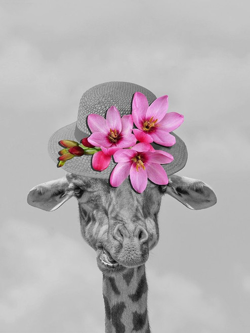 Giraffe Floral Poster Print by Jamie Phillip # JRV17A