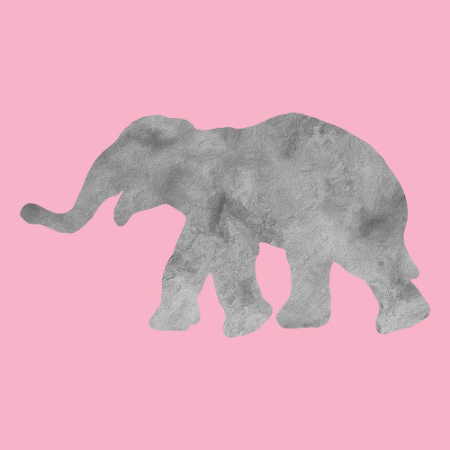 Baby Elephant Poster Print by Jamie Phillip # JS464B