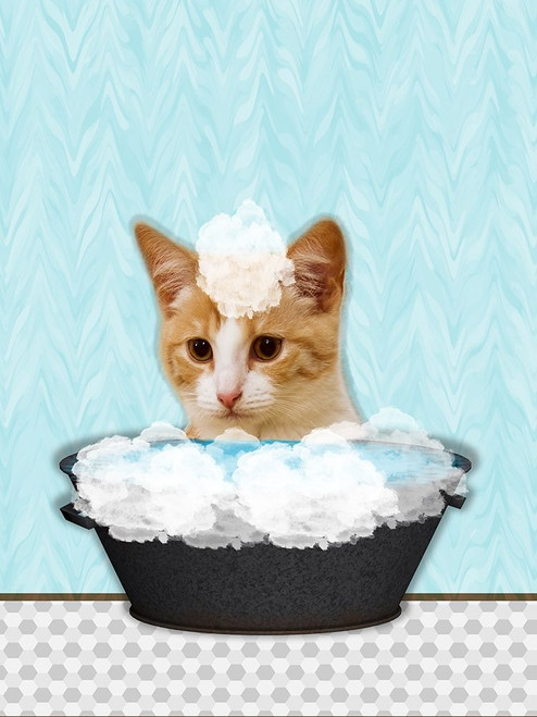 Catty Bath Poster Print by Jamie Phillip # JRV192B