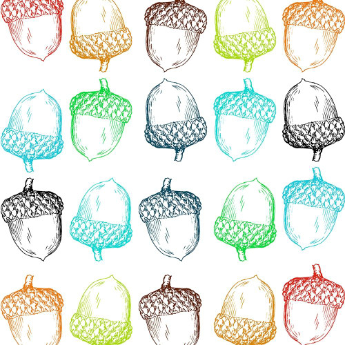 Acorn Poster Print by Jamie Phillip # JS468A