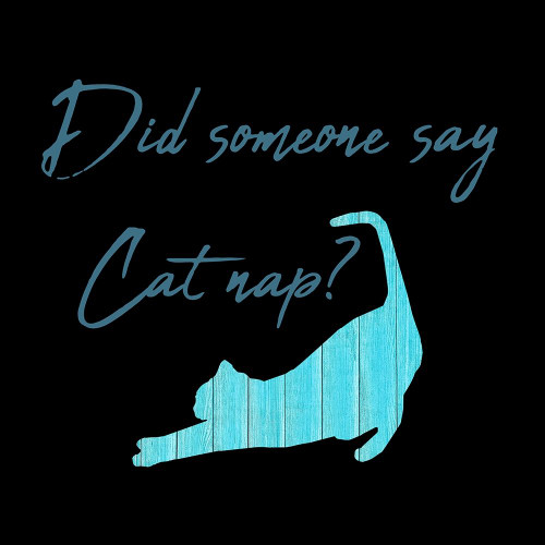 Cat Nap Poster Print by Jamie Phillip # JS369A