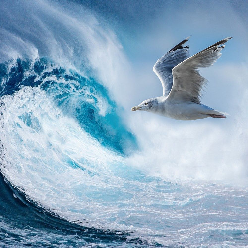 Big Wave Poster Print by Jamie Phillip # JS321A