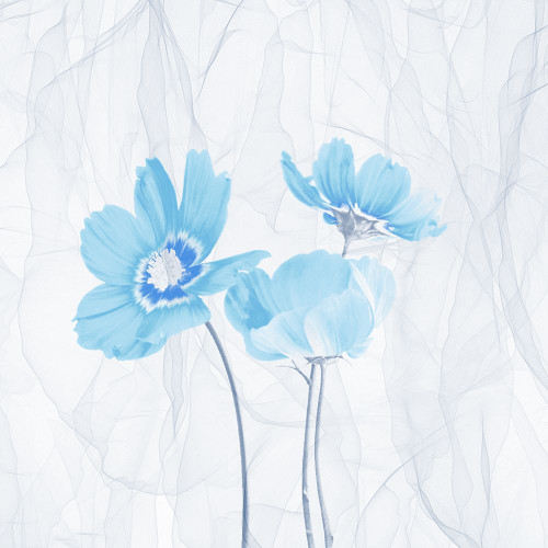 Xray Smoke Poster Print by Jamie Phillip # JS334A