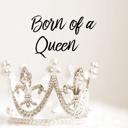 Queen Poster Print by Jamie Phillip # JS279A