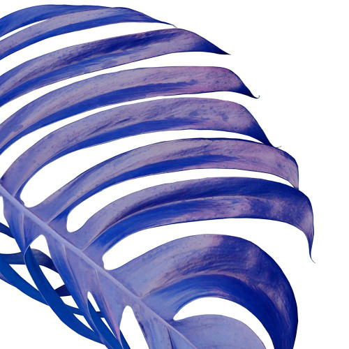 Pop Up 2 Poster Print by Jamie Phillip # JS245B