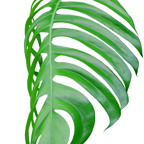 Pop up 3 Poster Print by Jamie Phillip # JS245C