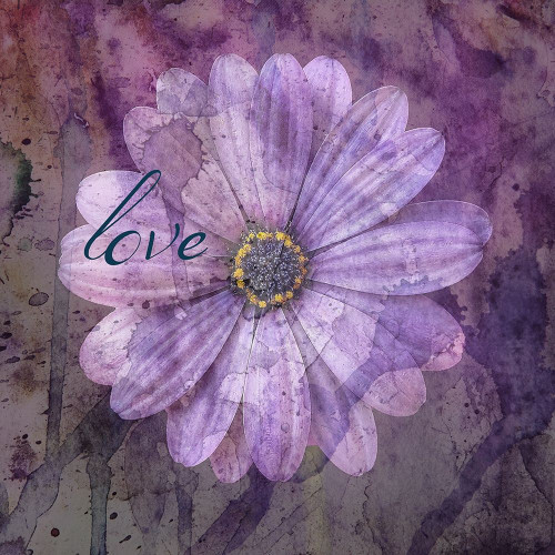 Watercolor Love 2 Poster Print by Jamie Phillip # JS234B