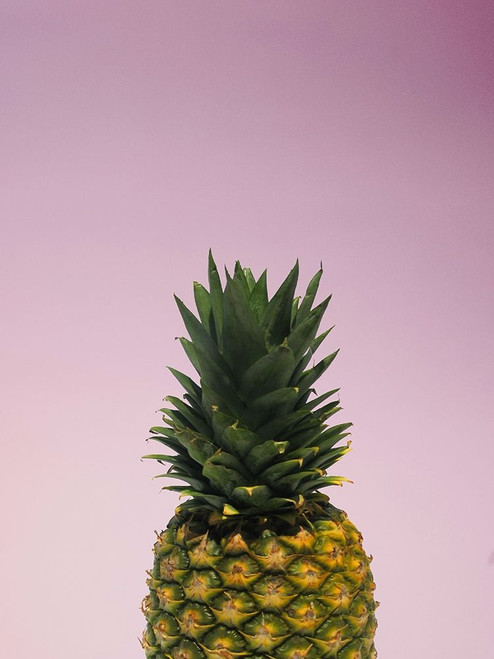 Eddible Dream Poster Print by Jamie Phillip # JRV128A