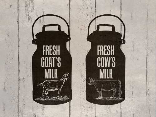 Fresh Farm Milk 1 Poster Print by Jamie Phillip # JRH79A