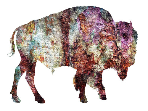 Rustic Bison Poster Print by Jamie Phillip # JRH186A