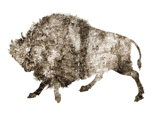 Rustic Bison 3 Poster Print by Jamie Phillip # JRH186C