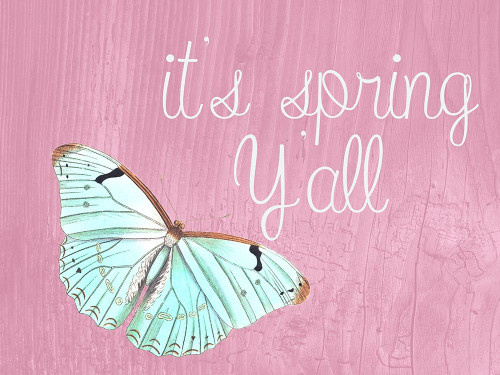 Spring Poster Print by Jamie Phillip # JRH117A