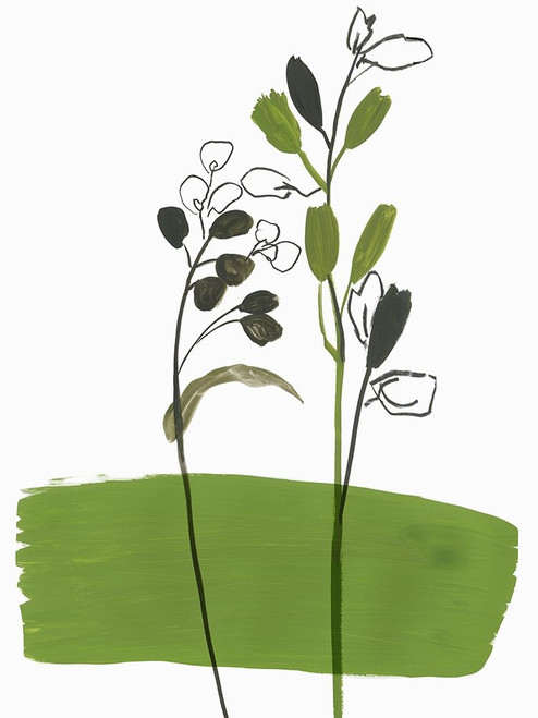 Little Herb I Poster Print by Asia Jensen # JN509A